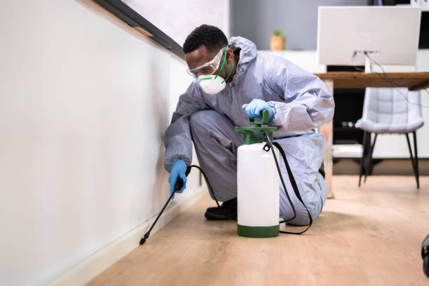 Best Fumigation Services  in Frankfort, IL